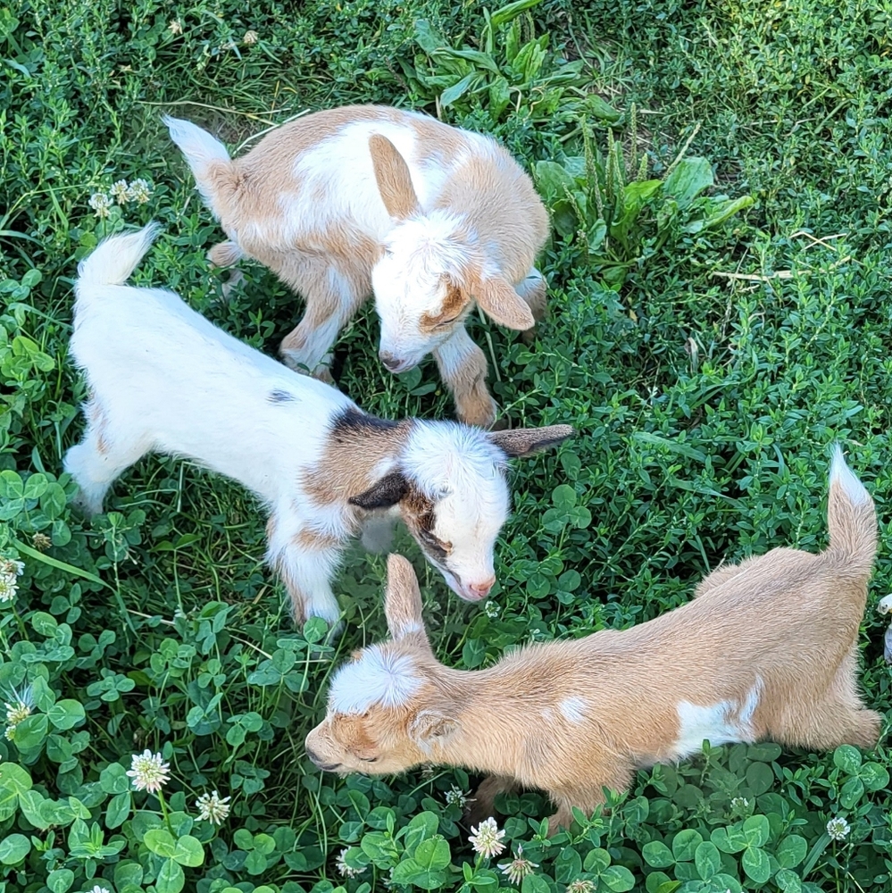 MEET MY KIDS!